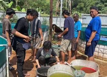 Desa Binaan PLN Sabet Juara Video Pendek Lewat Daun Bambu
