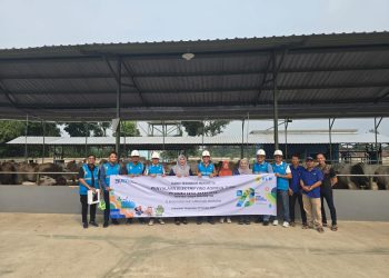 PLN Suplai 1,2 Juta VA Listrik ke Peternak dan Petani Hidroponik di Banten
