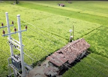 Program Electrifying Agriculture Sudah Dinikmati 300.535 Pelanggan
