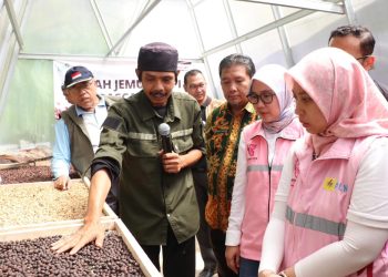 PLN Banten Wujudkan Harapan Petani Kopi Juhut Pandeglang