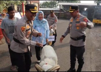 Ketika Kapolres Serang Beri 2 Ekor Kambing ke Anggota Purna Tugas