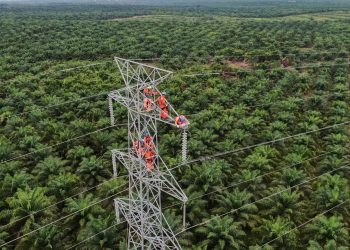 PLN Komitmen Wujudkan Swasembada Energi