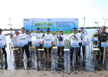 PLN UID Banten Tanam 8.000 Bibit Mangrove di Hari Menanam Pohon Indonesia